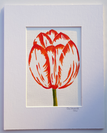 2020-19-Tulip Red - mounted
